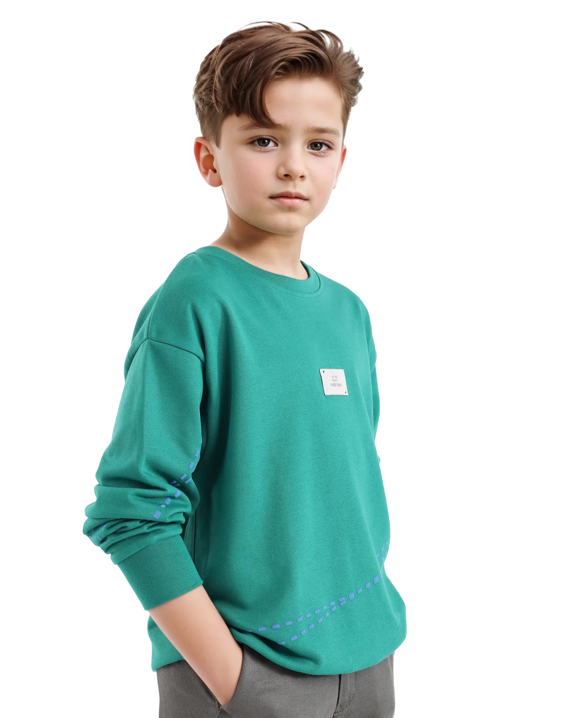 Rare Ones Kids Kole Green Cotton Poly Full Sleeve Hd Print Sweatshirt