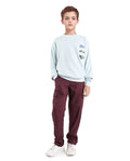 Rare Ones Kids Glin-B Maroon Cotton Solid Button Closure Regular Fit Trouser
